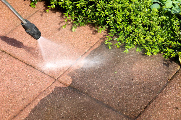 Best Roof Power Washing Services  in Bluffton, OH